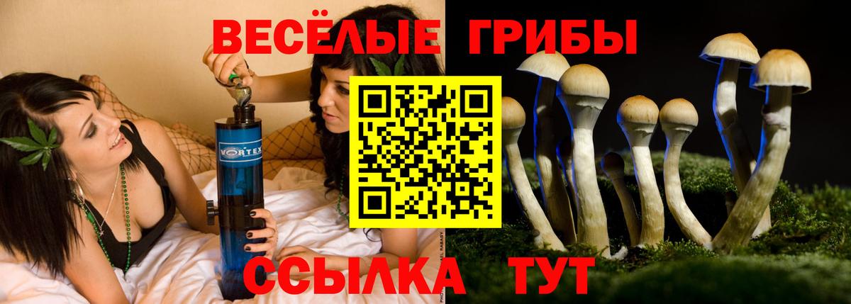 Шелехов  Галлюциногенные грибы GOLDEN TEACHER  Галлюциногенные грибы Psilocybe  дарнет шоп  Вход с VPN 